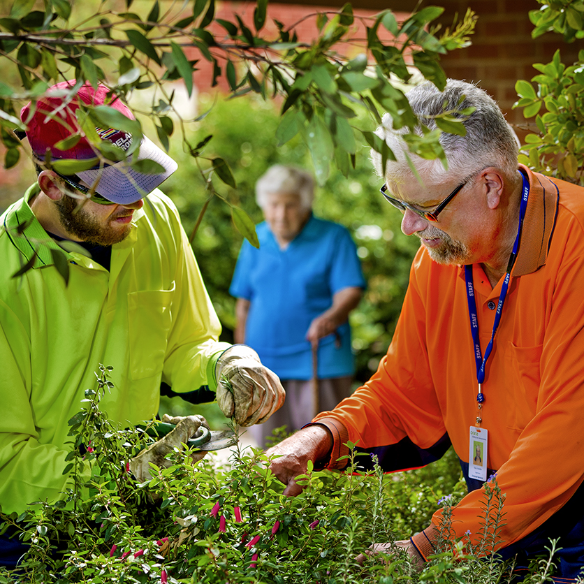 Local government staff tending a community garden in Adelaide
